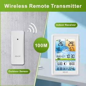 COLOR RADIO-CONTROLLED WEATHER STATION (color 4: white)