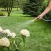 Burst Proof Expandable Garden Hose - Water Hose 5/8 in Dia. x 25 ft.